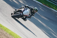 Lower Group Black Bikes